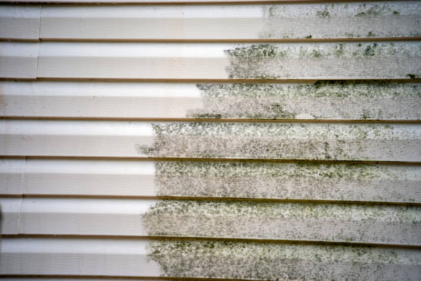Trusted League City, TX Junk Removal Experts